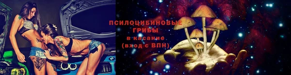 стаф Беломорск
