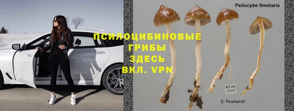 стаф Беломорск