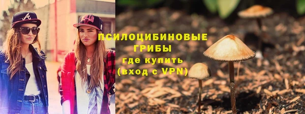 тгк Богданович
