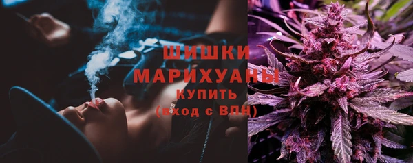 тгк Богданович